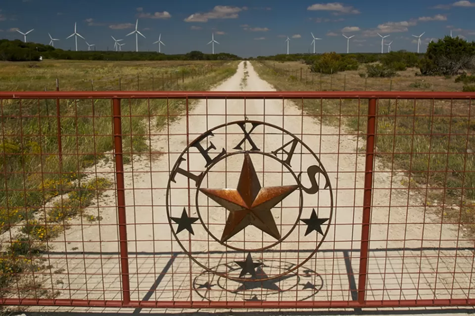 Texas Wind